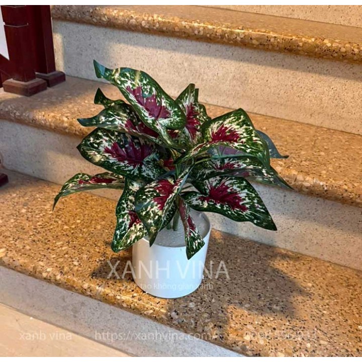 Cây giả để bàn cao 35cm
